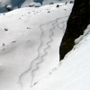 sciare in neve fresca
